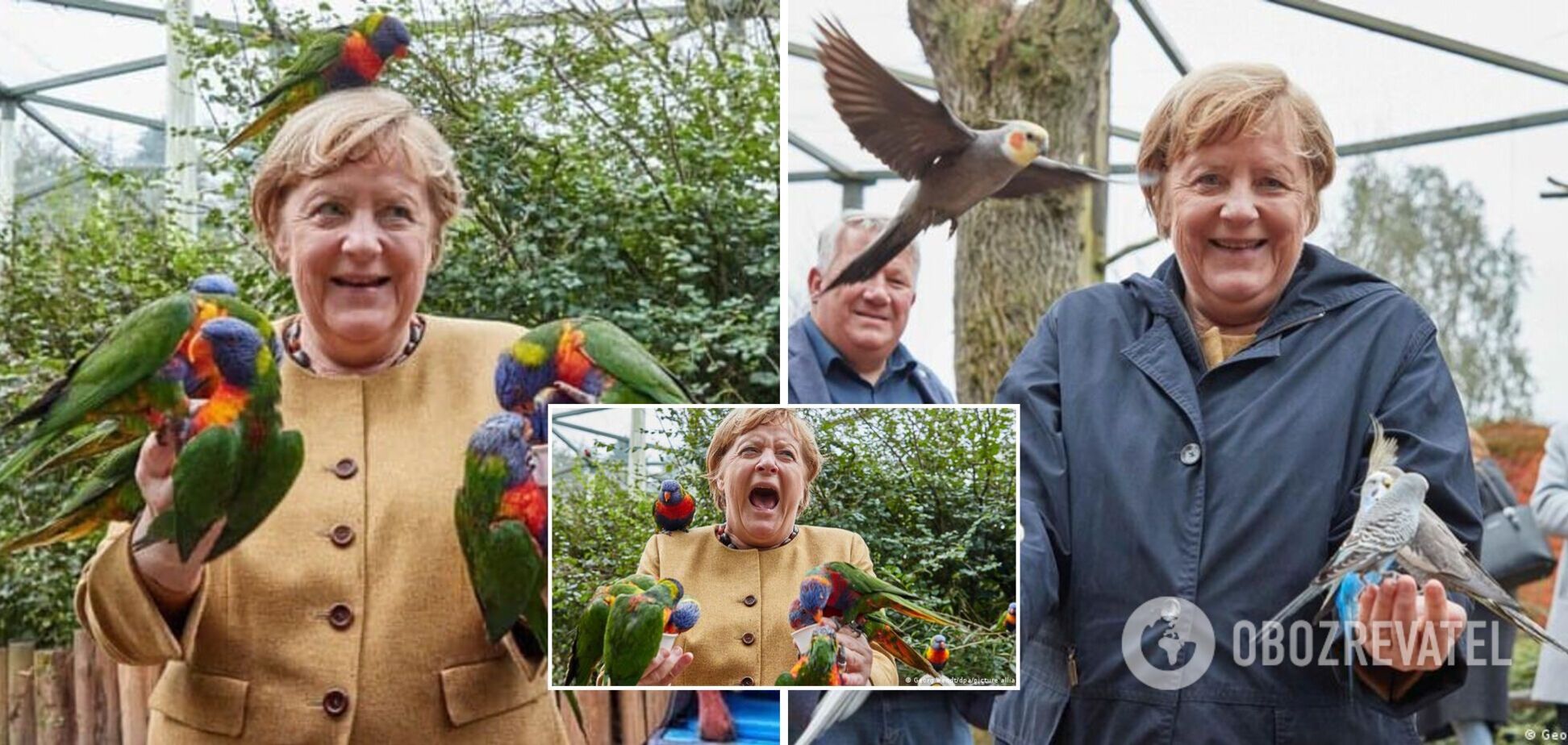 Angela Merkel Birds
